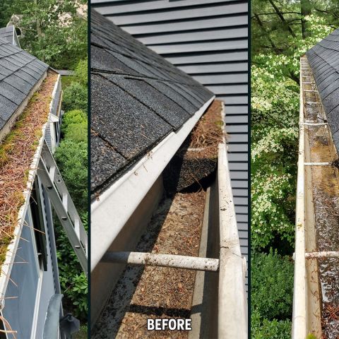 Gutter Cleaning - Before