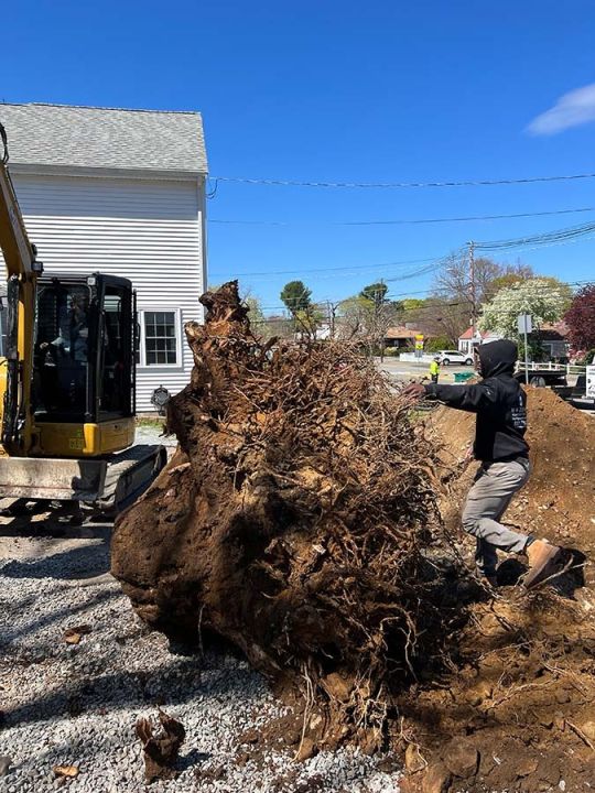 gallery img mazzoni construction inc boston ma gallery img mazzoni construction inc boston ma